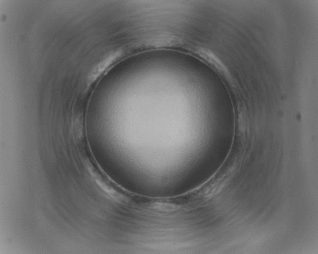 X0000076240393200610122145