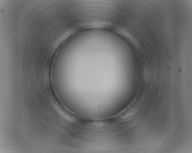 X0000076240394200610122145