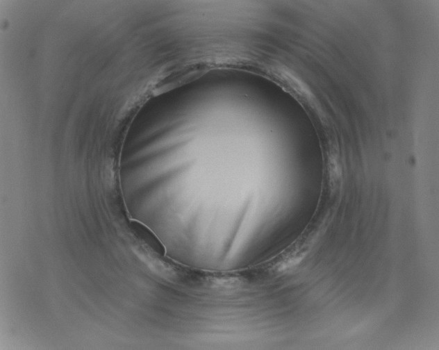 X0000076240401200610122145