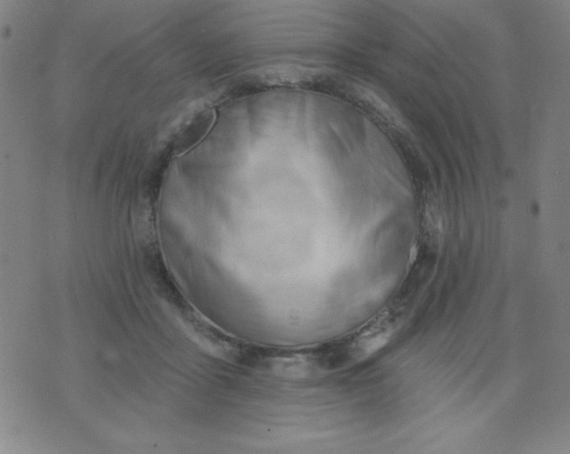 X0000076240411200610122145