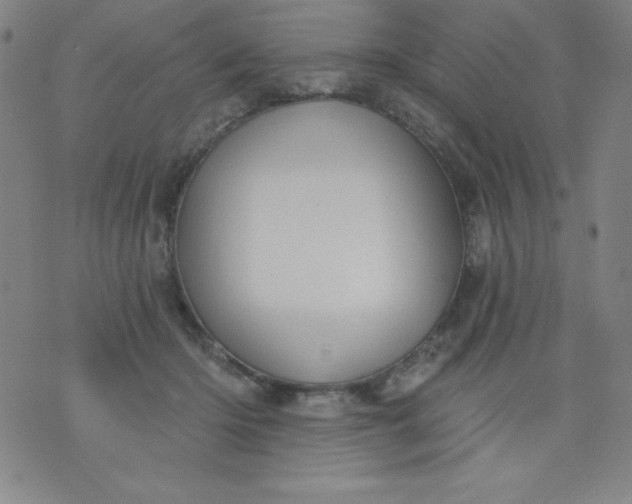X0000076240414200610122145