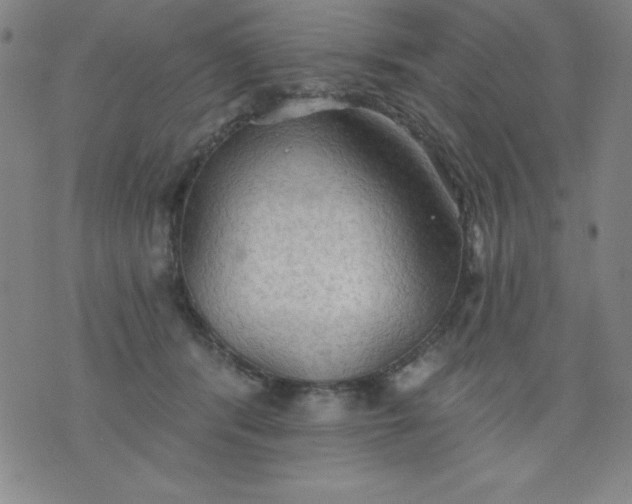 X0000076240416200610122145