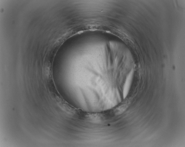 X0000076240417200610122145