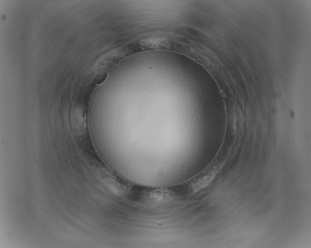 X0000076240420200610122145