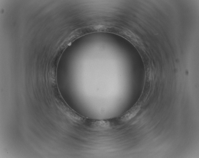 X0000076240421200610122145