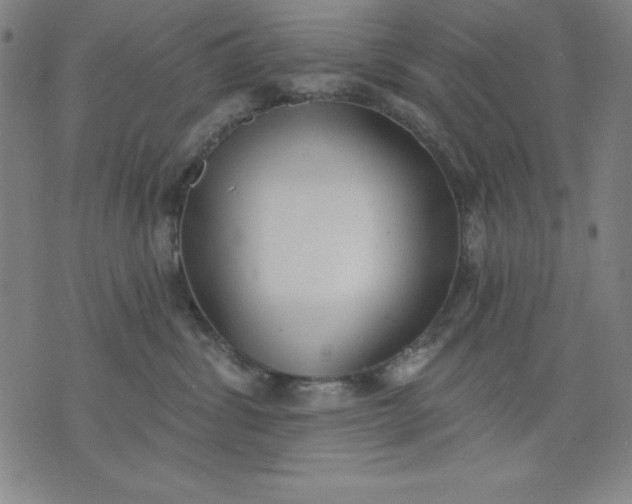 X0000076240428200610122145