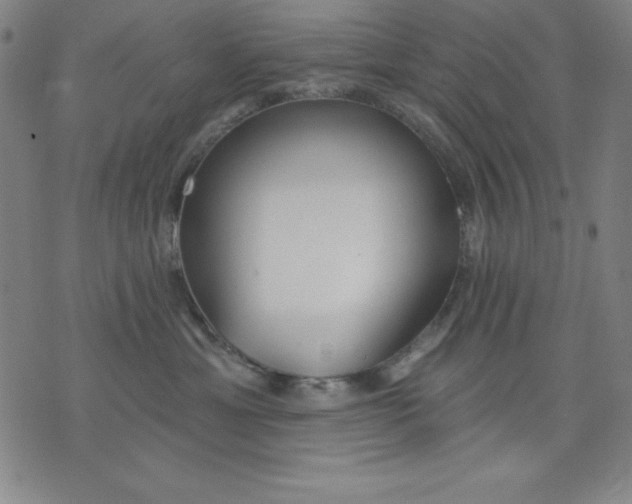 X0000076240429200610122145