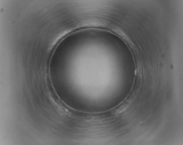 X0000076240434200610122144