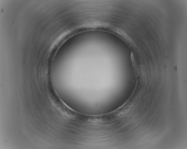 X0000076240440200610122144