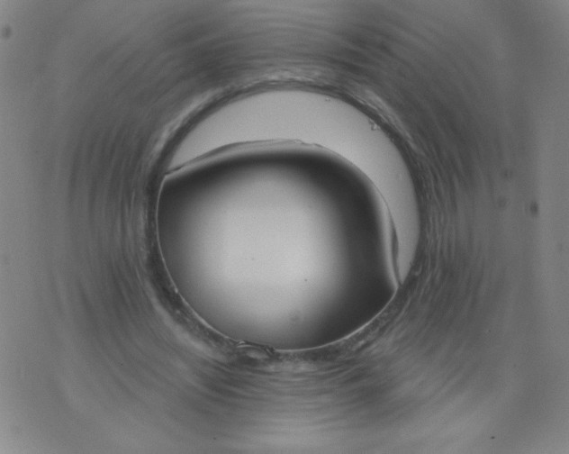 X0000076240444200610122144