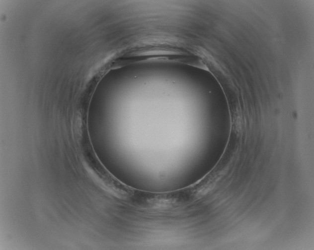 X0000076240448200610122144