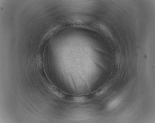 X0000076240457200610122144