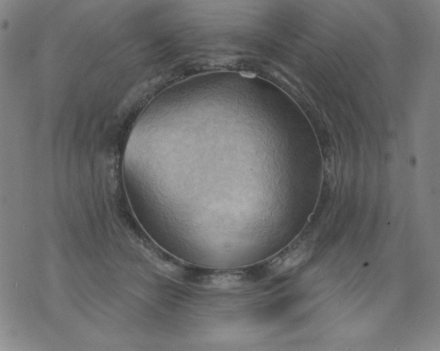 X0000076240462200610122144