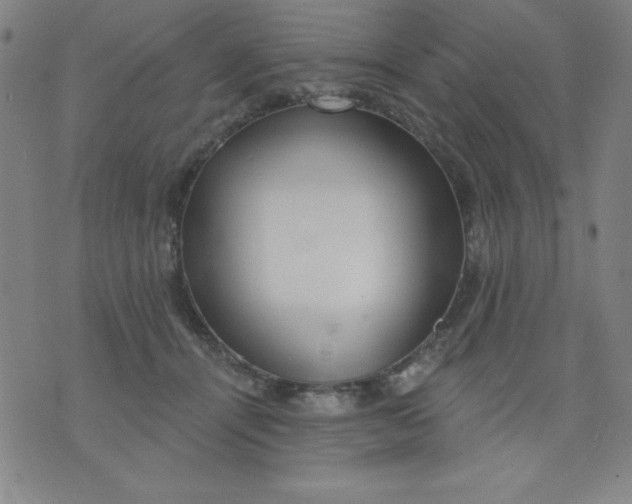 X0000076240464200610122144