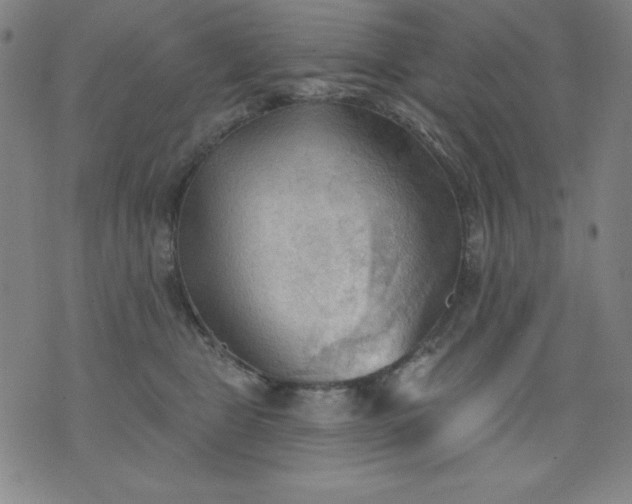 X0000076240469200610122145