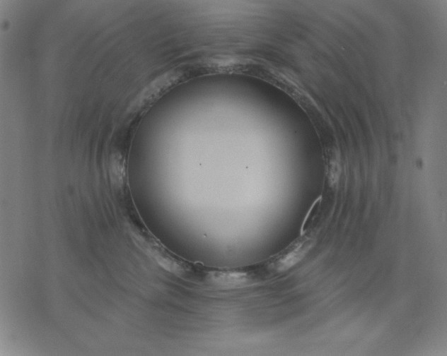 X0000076240476200610122145