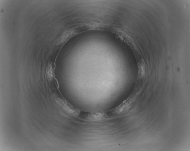 X0000076240479200610122145