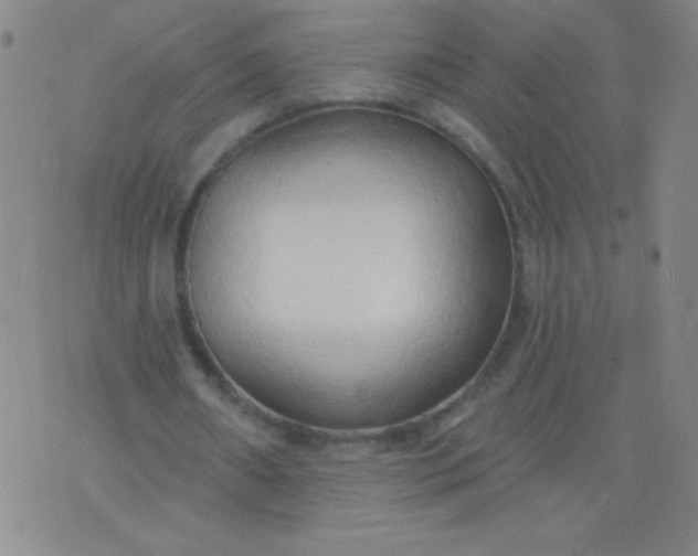 X0000076240482200610122144