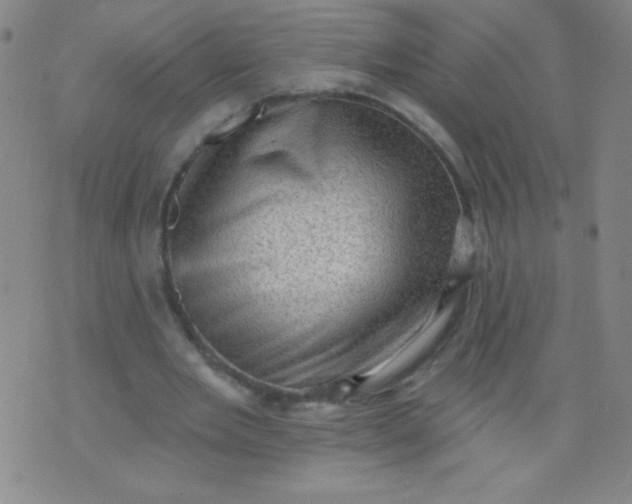 X0000076240485200610122144
