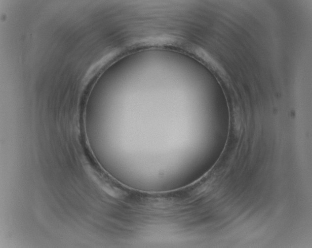 X0000076240486200610122144