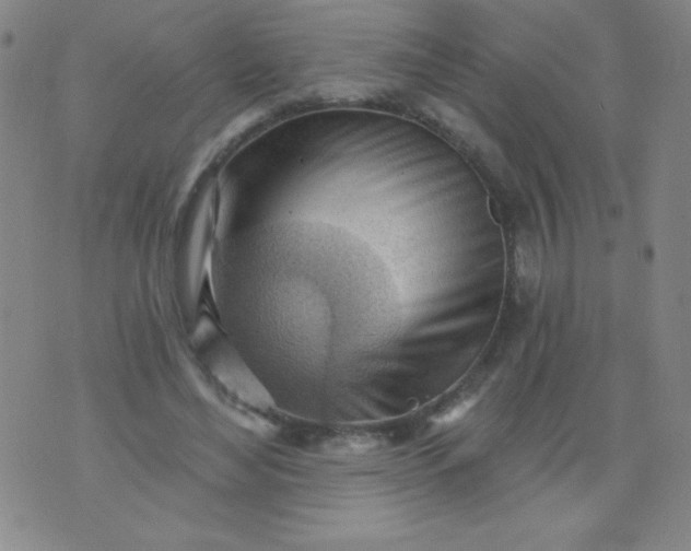 X0000076240492200610122144
