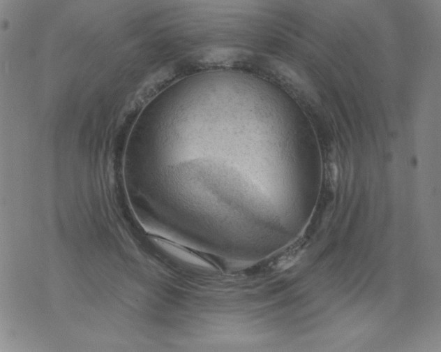 X0000076240504200610122144