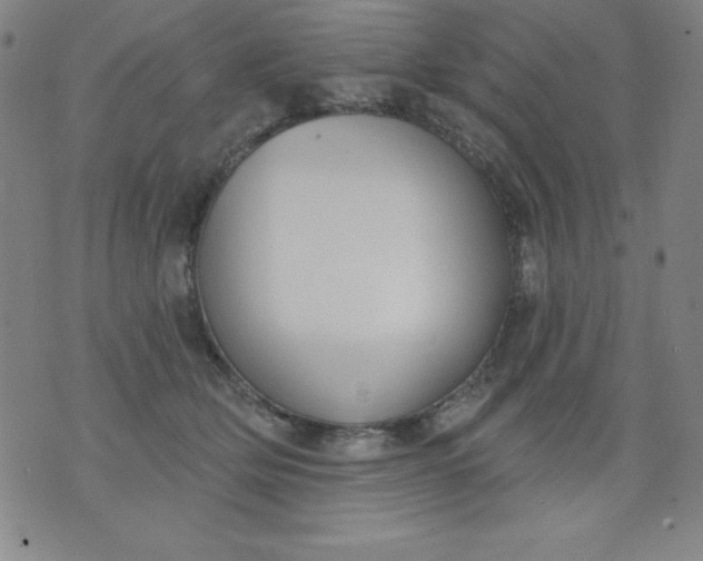 X0000076240514200610122143