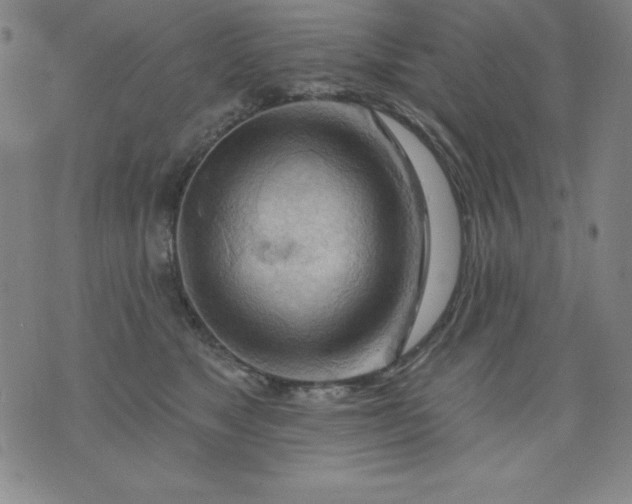 X0000076240517200610122143