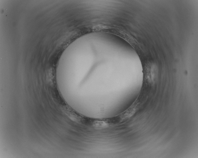 X0000076240519200610122143
