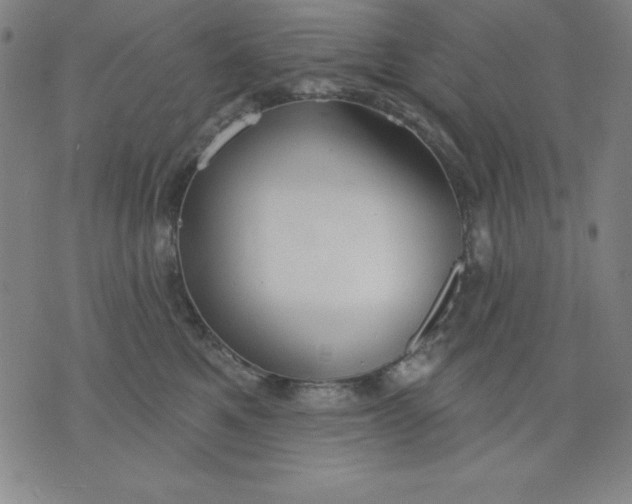 X0000076240521200610122143