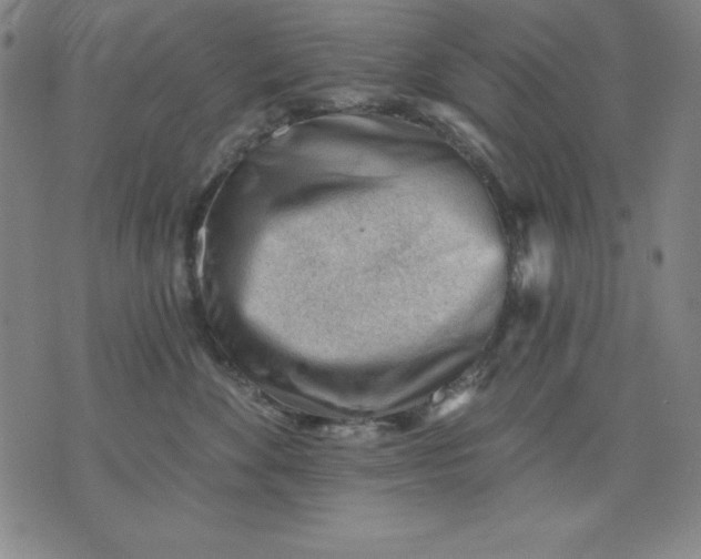 X0000076240524200610122143