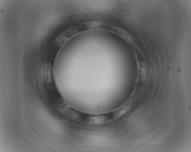 X0000076240525200610122143