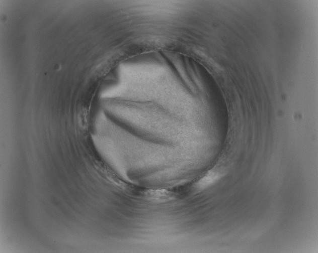 X0000076240528200610122143