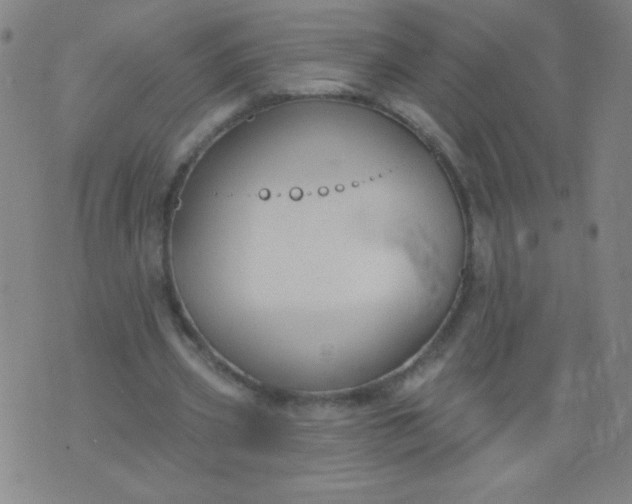 X0000076240533200610122143