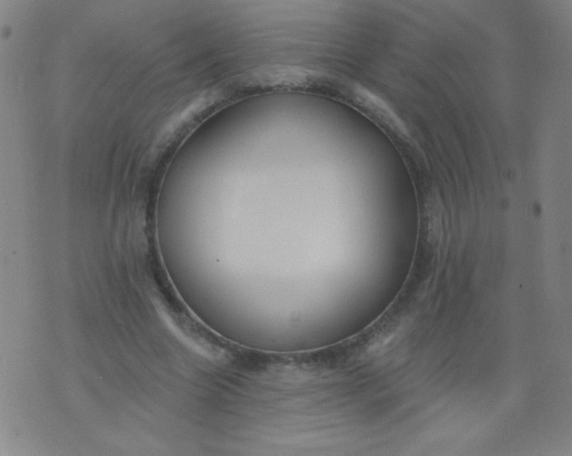 X0000076240538200610122143