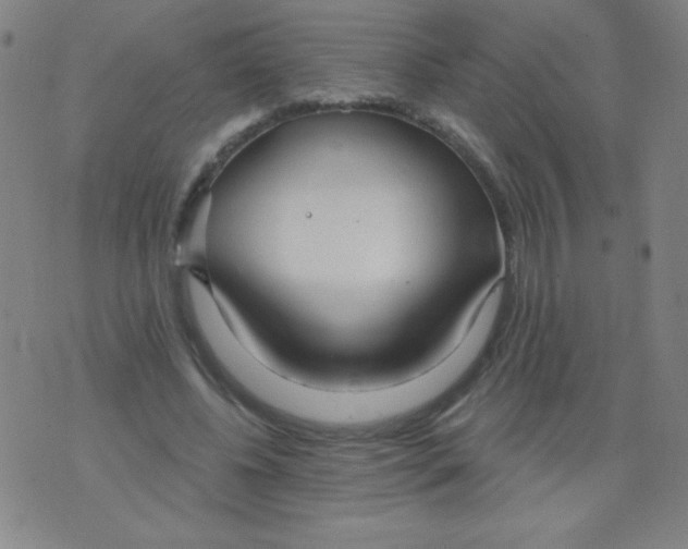 X0000076240540200610122143
