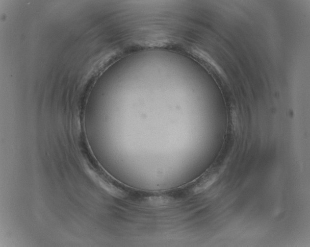 X0000076240541200610122143
