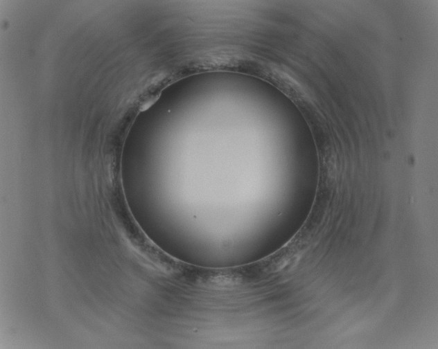 X0000076240546200610122143