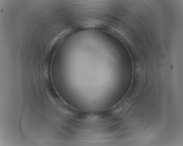 X0000076240547200610122143