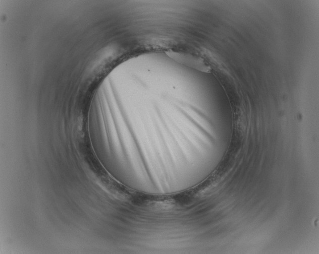 X0000076240548200610122143