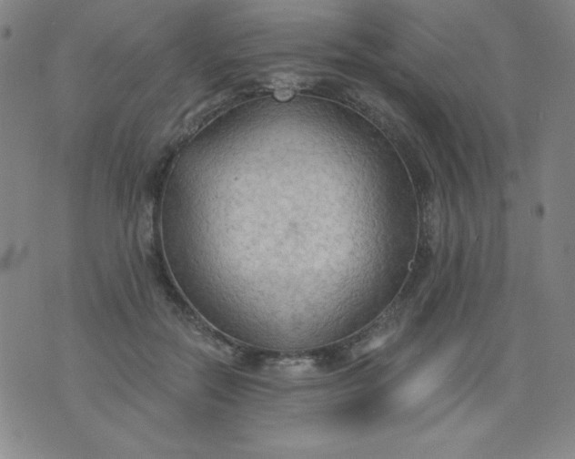 X0000076240554200610122143