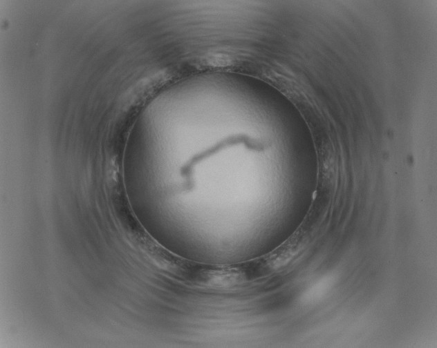 X0000076240555200610122143