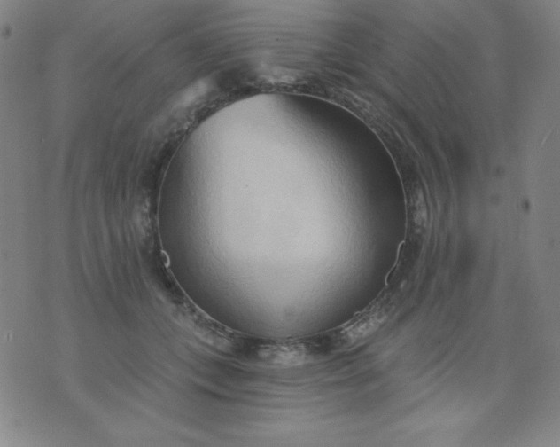 X0000076240559200610122143