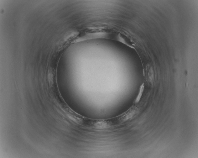 X0000076240562200610122143