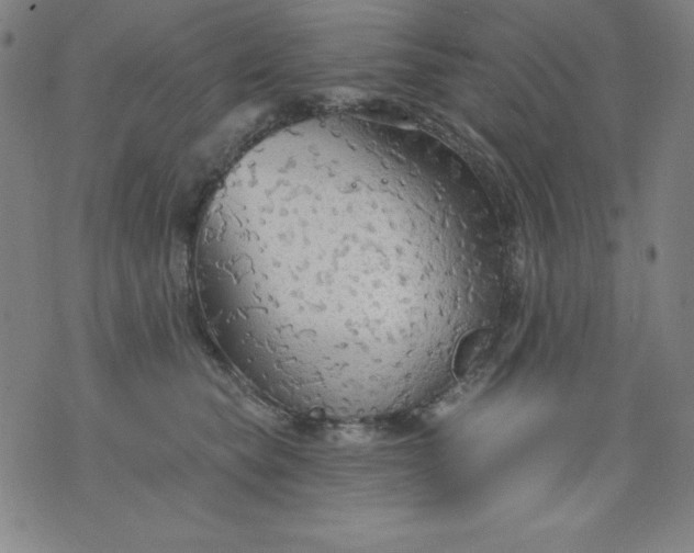 X0000076240565200610122143