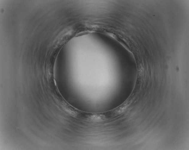 X0000076240566200610122143