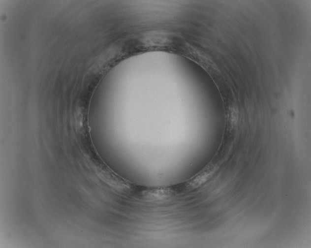 X0000076240567200610122143