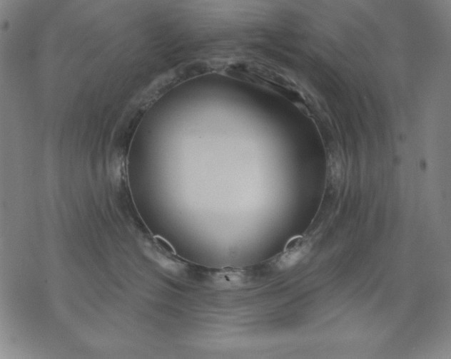X0000076240574200610122143