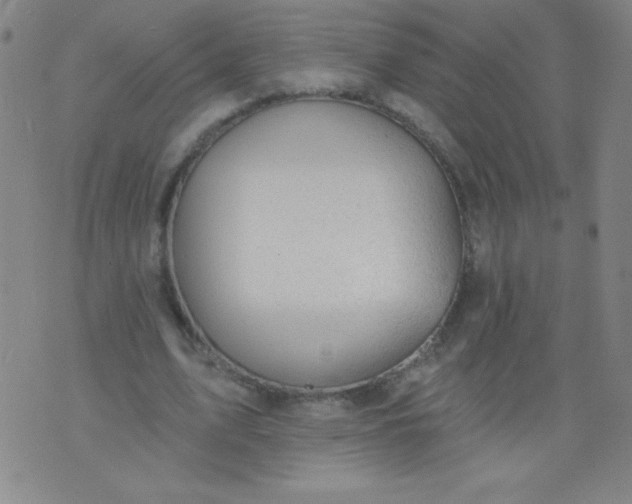 X0000076240583200610122142