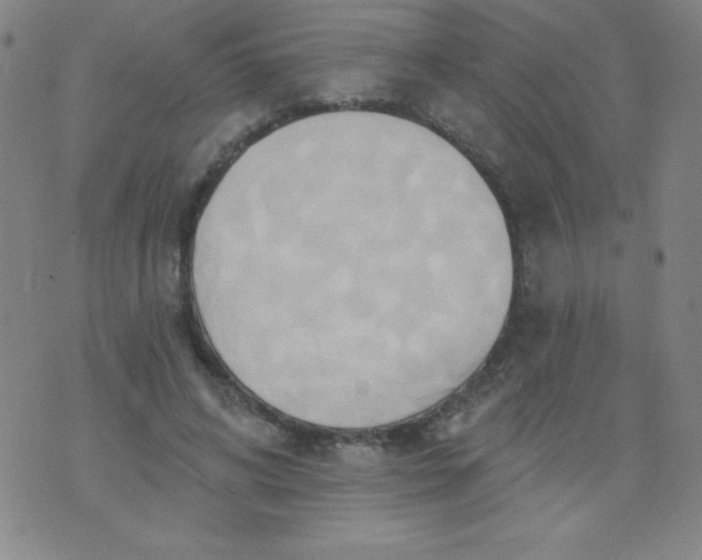 X0000076240592200610122142